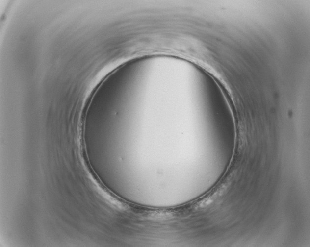 X0000059241525200510281918