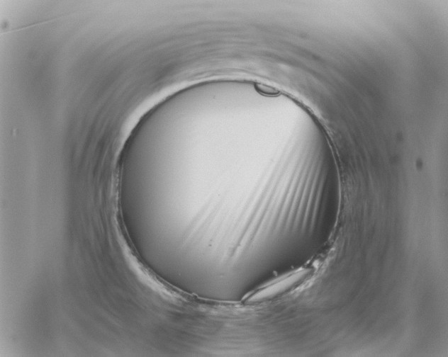 X0000059241526200510281918