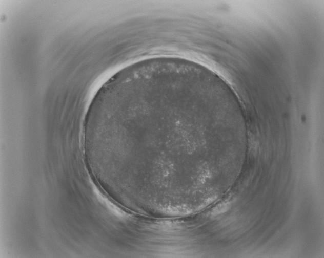 X0000059241527200510281918