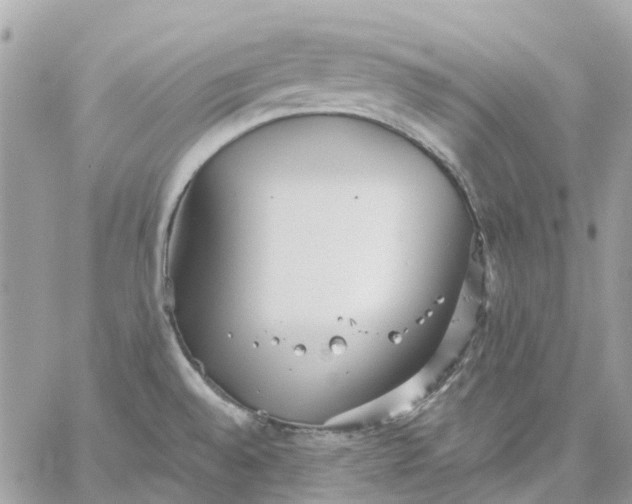 X0000059241528200510281918