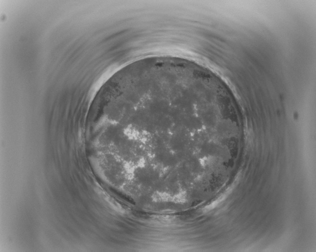 X0000059241529200510281918