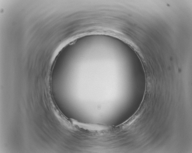 X0000059241530200510281918