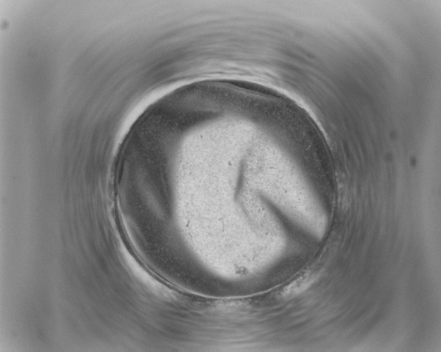 X0000059241531200510281918