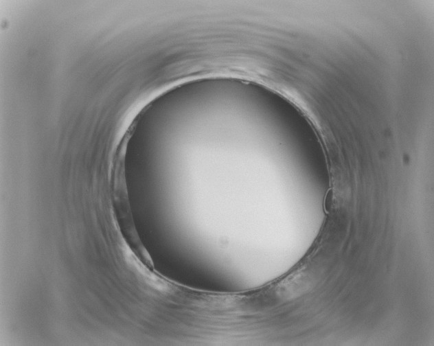 X0000059241532200510281918