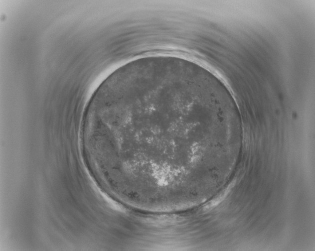 X0000059241533200510281918