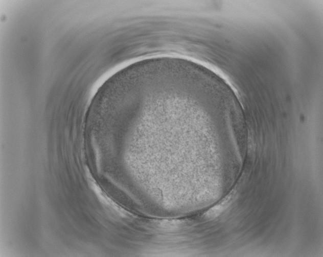 X0000059241534200510281918