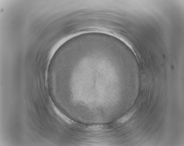 X0000059241535200510281918