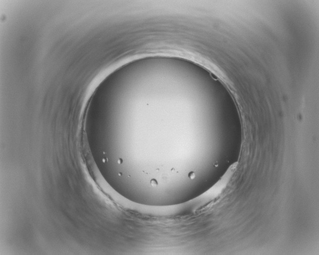 X0000059241536200510281918