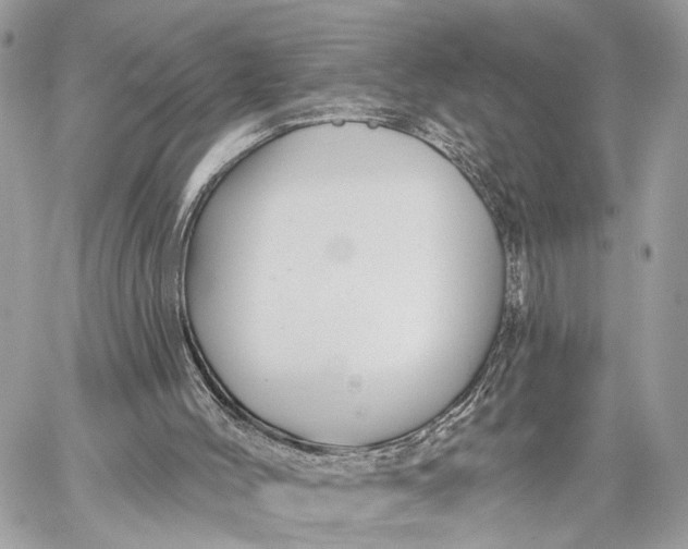 X0000059240004200511041320