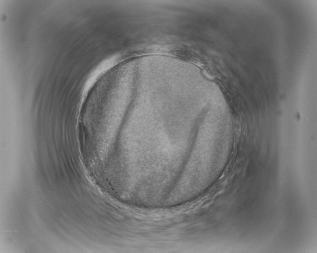 X0000059240006200511041320