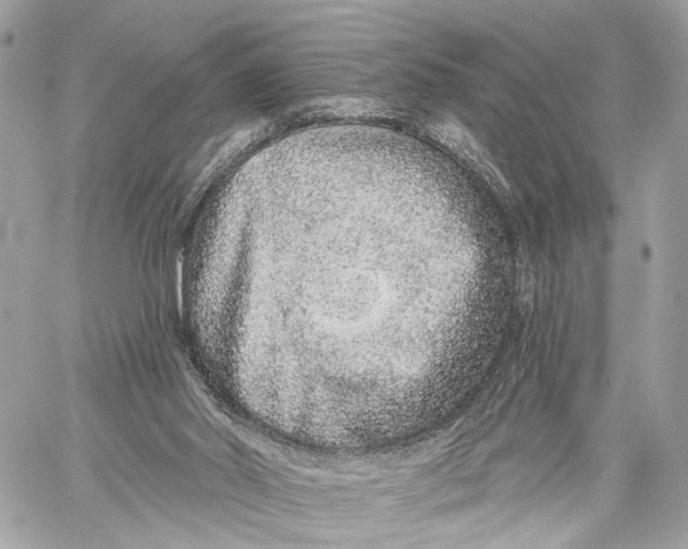 X0000059240014200511041320