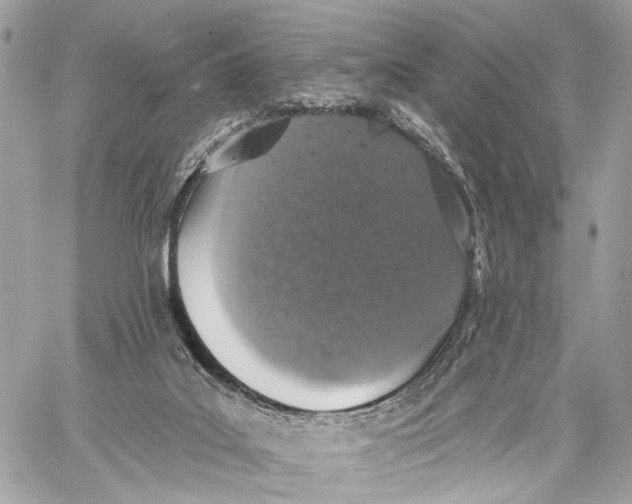 X0000059240019200511041319