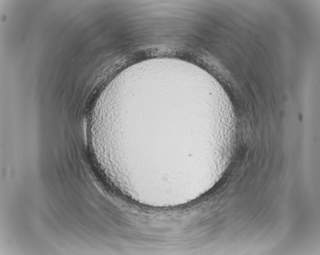X0000059240022200511041319