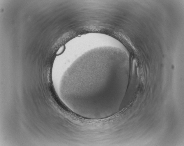 X0000059240023200511041319