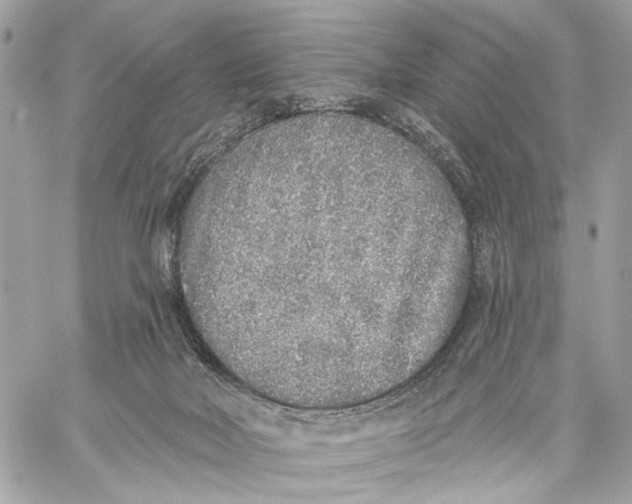 X0000059240026200511041319