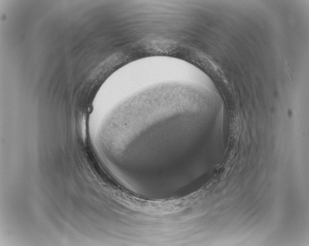 X0000059240027200511041319