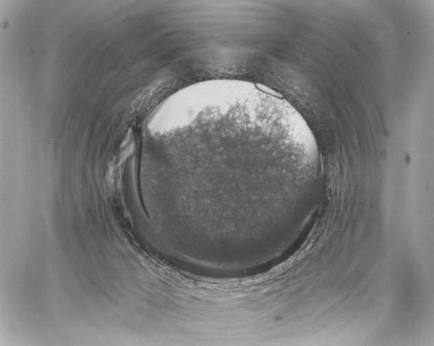 X0000059240029200511041319