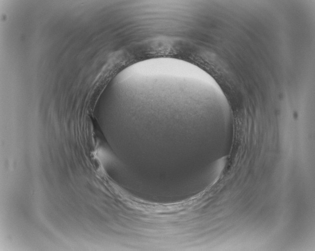 X0000059240035200511041319