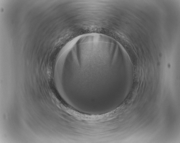 X0000059240039200511041319