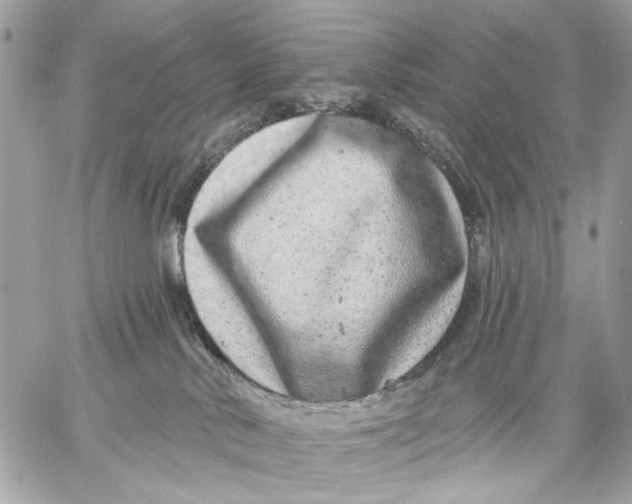 X0000059240042200511041319