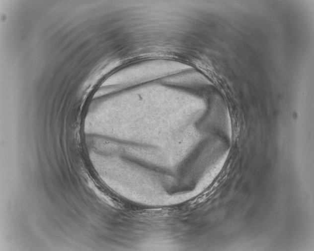X0000059240050200511041318