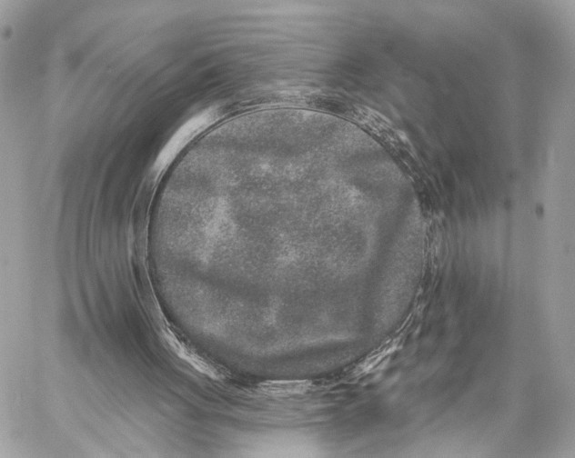 X0000059240051200511041318