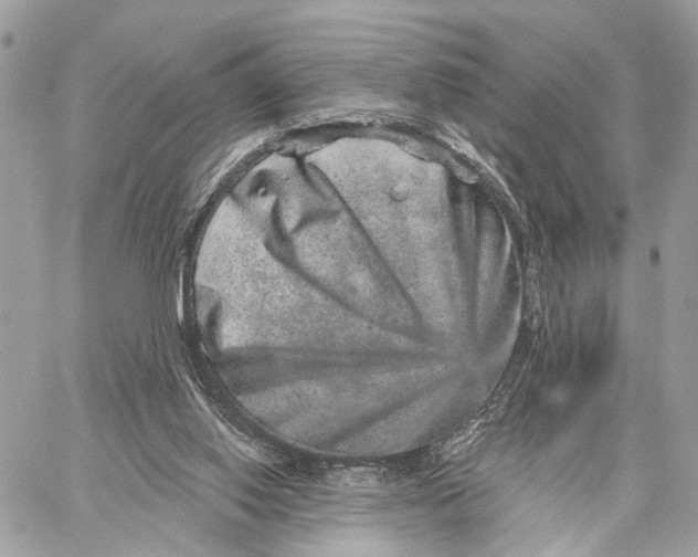 X0000059240062200511041318