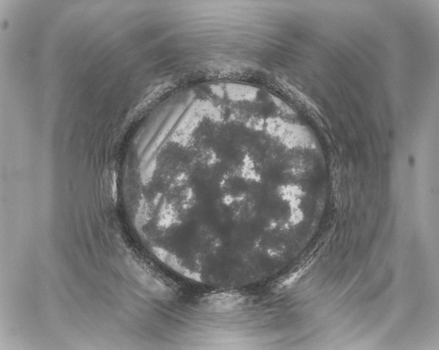 X0000059240067200511041318