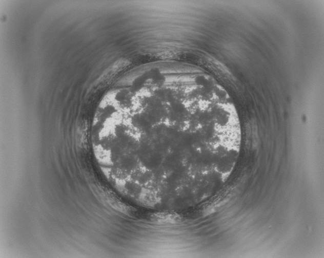 X0000059240073200511041319