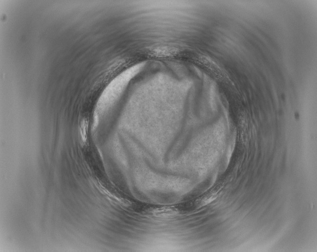 X0000059240075200511041319