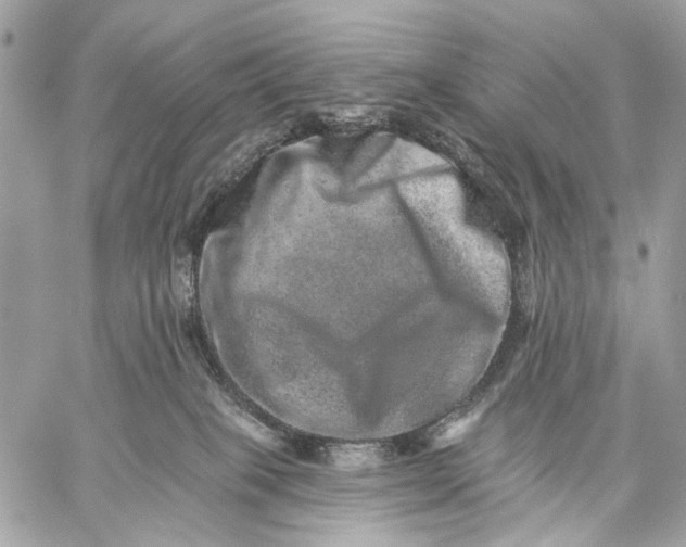 X0000059240085200511041319