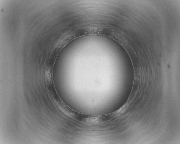 X0000059240086200511041319