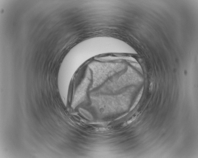 X0000059240091200511041319