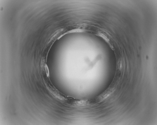 X0000059240092200511041319