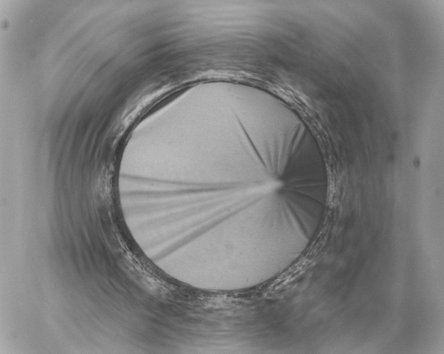 X0000059240098200511041318