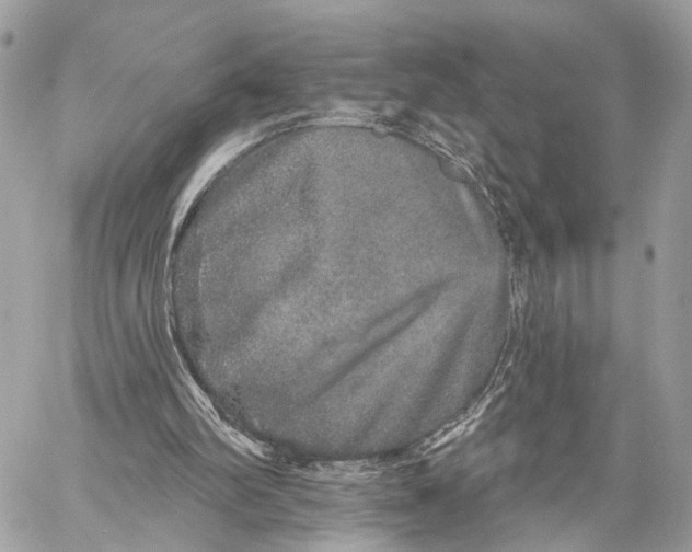 X0000059240102200511041318