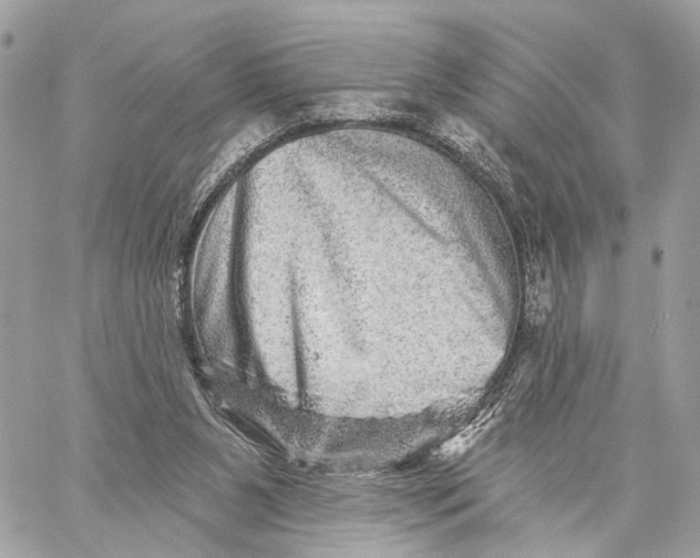 X0000059240111200511041318