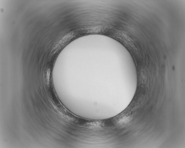 X0000059240118200511041318