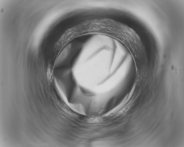 X0000059240142200511041317