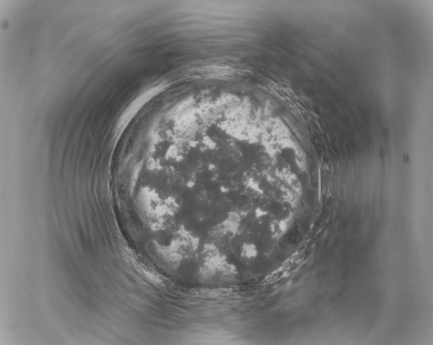 X0000059240147200511041317