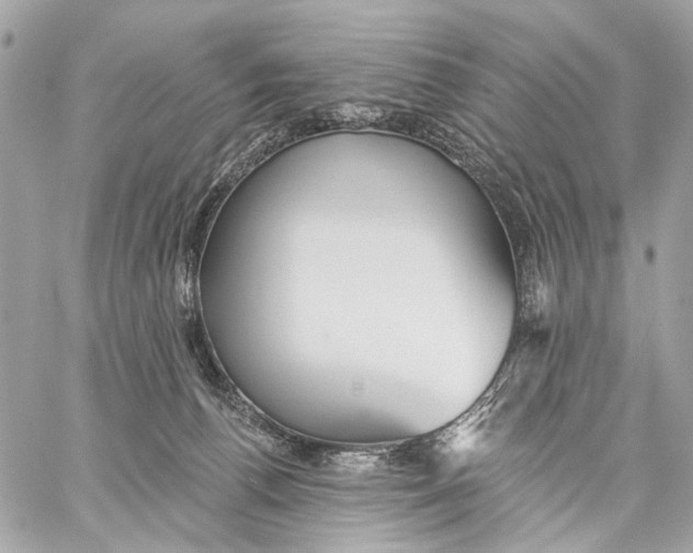 X0000059240176200511041317