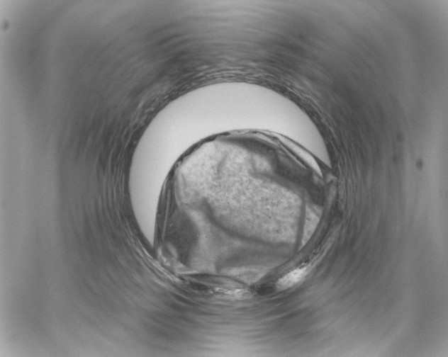X0000059240185200511041317