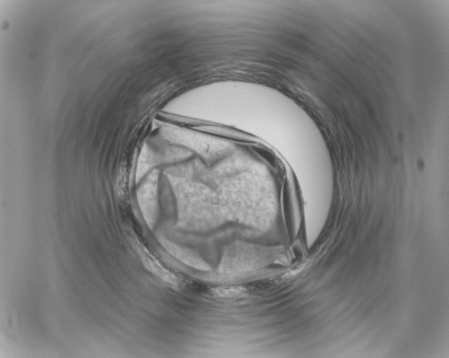 X0000059240189200511041317