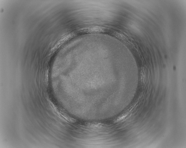 X0000059240206200511041316