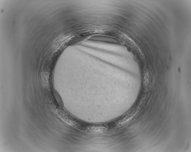 X0000059240209200511041316