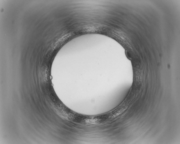 X0000059240216200511041316