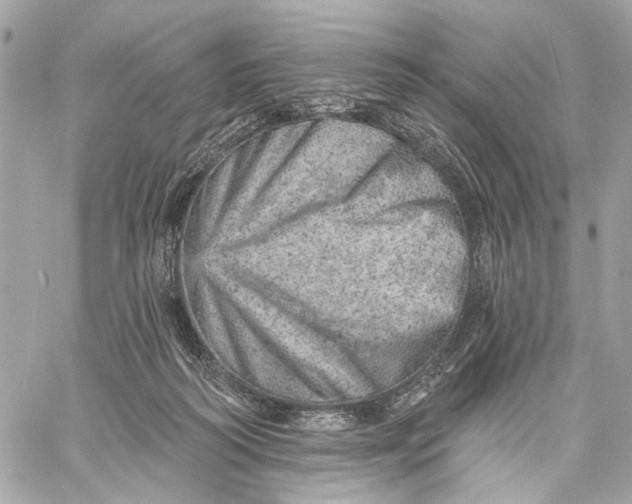 X0000059240218200511041316