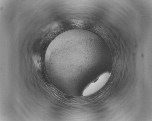 X0000059240223200511041316