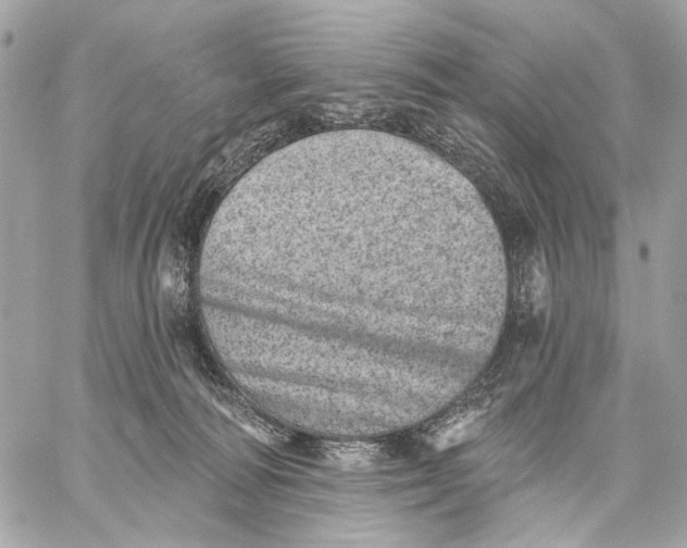 X0000059240226200511041316