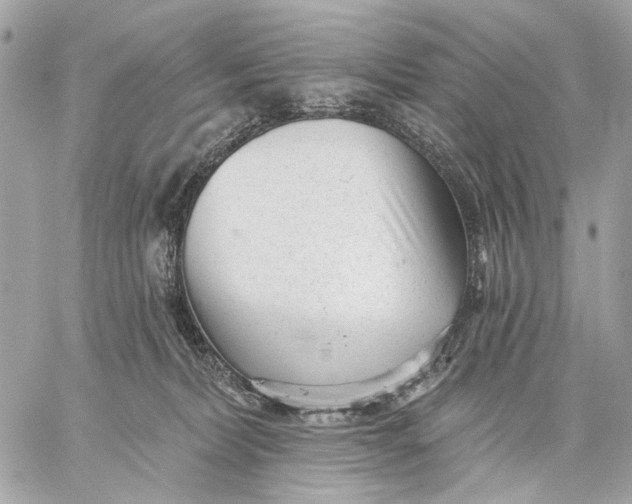 X0000059240228200511041316